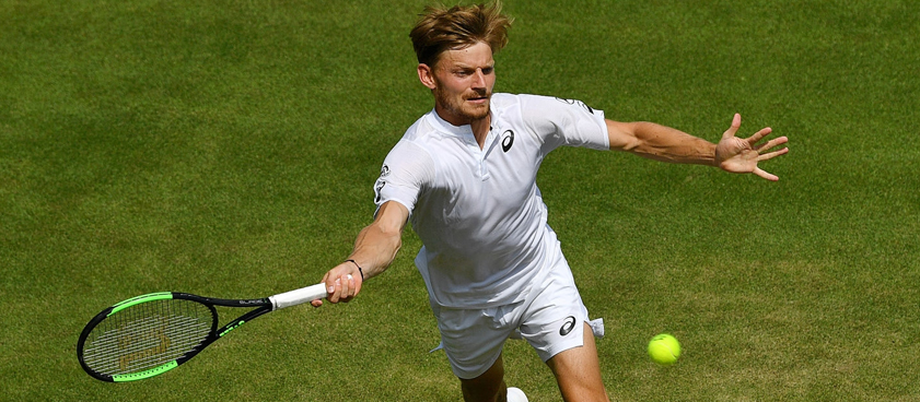 Pronóstico David Goffin - Fernando Verdasco, Wimbledon 2019